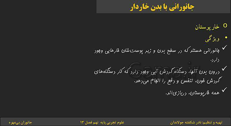 پاورپوینت تدریس فصل 13 کتاب علوم تجربی نهم: جانوران بی‌مهره- پیش نمایش