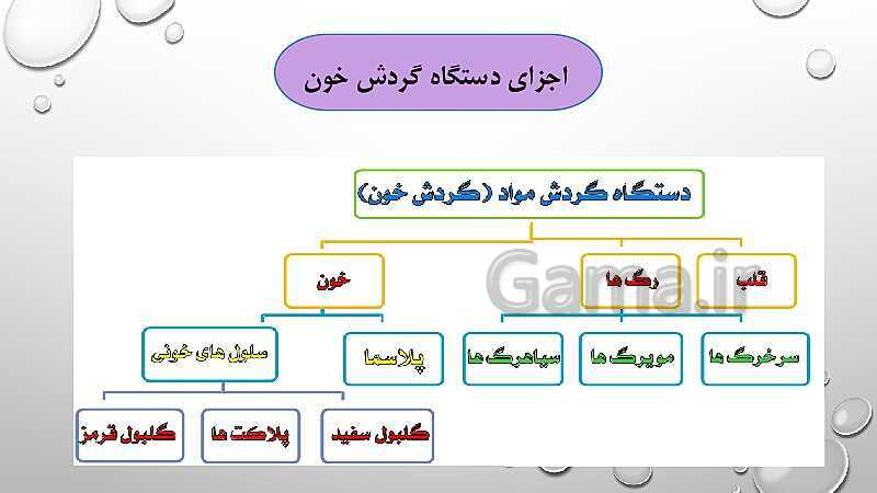  پاورپوینت فصل 14 گردش مواد علوم هفتم | گردش مواد- پیش نمایش