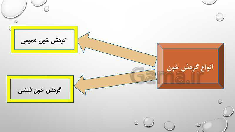  پاورپوینت فصل 14 گردش مواد علوم هفتم | گردش مواد- پیش نمایش