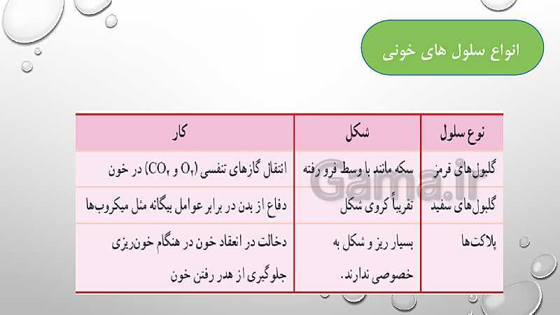  پاورپوینت فصل 14 گردش مواد علوم هفتم | گردش مواد- پیش نمایش