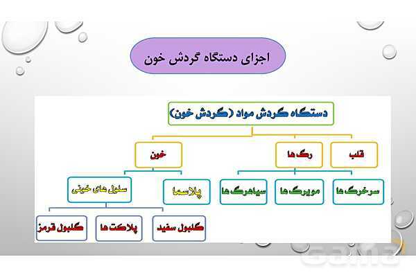 پاورپوینت فصل 14 گردش مواد علوم هفتم | گردش مواد- پیش نمایش