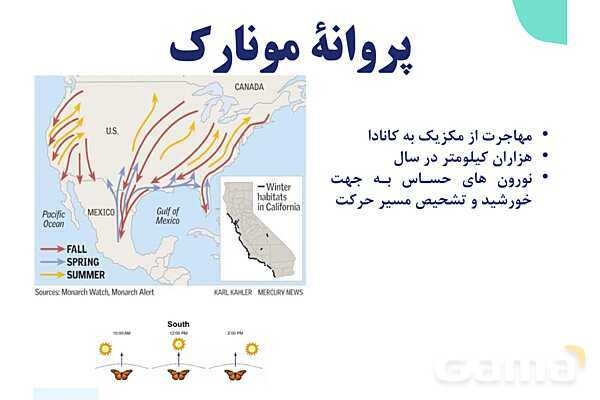 پاورپوینت گفتار 1 فصل 1 زیست دهم: زیست شناسی چیست؟- پیش نمایش