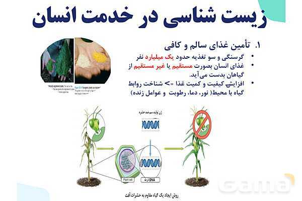 پاورپوینت گفتار 1 فصل 1 زیست دهم: زیست شناسی چیست؟- پیش نمایش