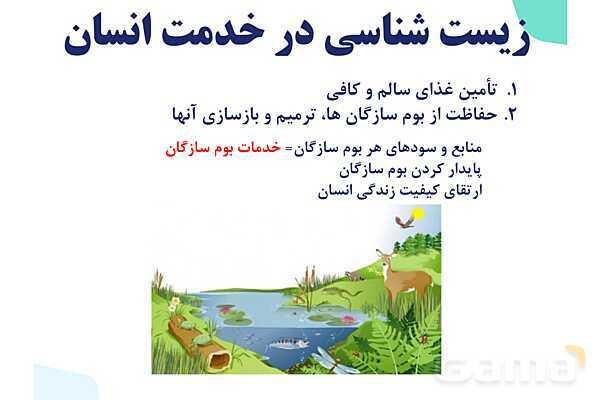 پاورپوینت گفتار 1 فصل 1 زیست دهم: زیست شناسی چیست؟- پیش نمایش