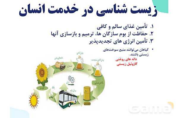 پاورپوینت گفتار 1 فصل 1 زیست دهم: زیست شناسی چیست؟- پیش نمایش