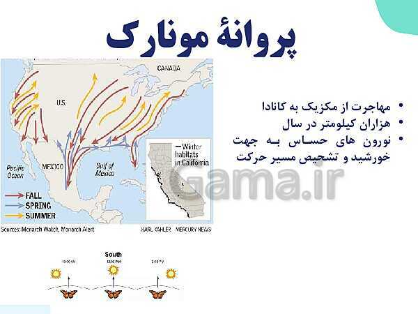 پاورپوینت گفتار 1 فصل 1 زیست دهم: زیست شناسی چیست؟- پیش نمایش