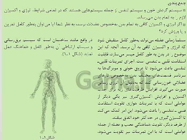 پاورپوینت پودمان 1: بدن سازی عمومی | مهارت آمادگی جسمانی پایه دهم ویژه رشته تربیت بدنی فنی- پیش نمایش