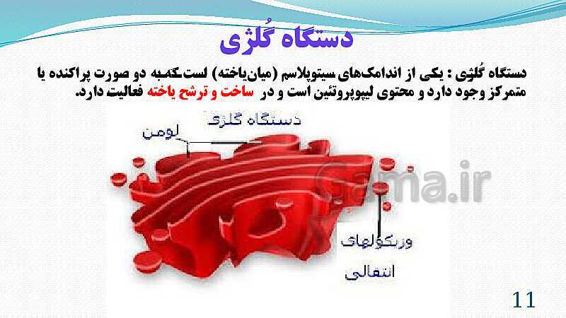 پاورپوینت فصل 11: یاخته و سازمان بندی آن | تدریس علوم پایه هفتم- پیش نمایش