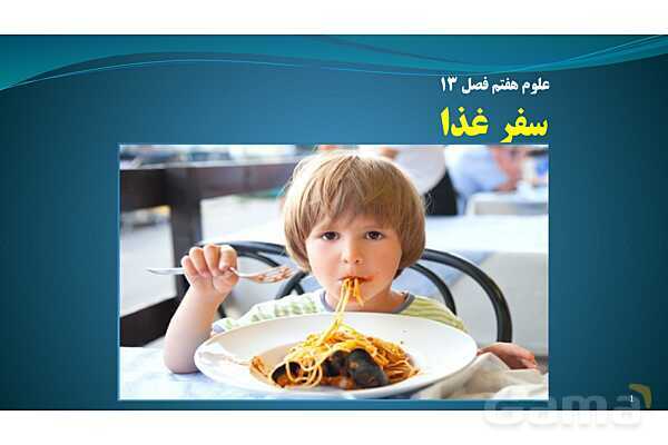 پاورپوینت فصل 13: سفر غذا | تدریس علوم پایه هفتم- پیش نمایش