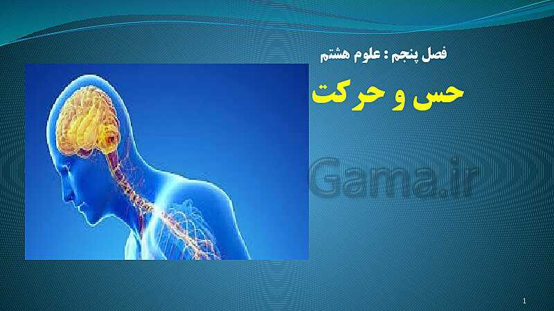 پاورپوینت فصل 5: حس و حرکت | تدریس علوم پایه هشتم- پیش نمایش