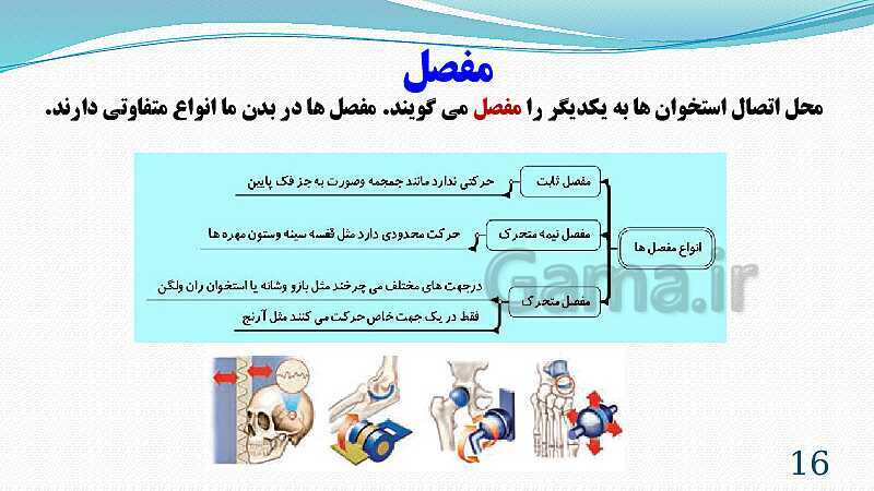 پاورپوینت فصل 5: حس و حرکت | تدریس علوم پایه هشتم- پیش نمایش