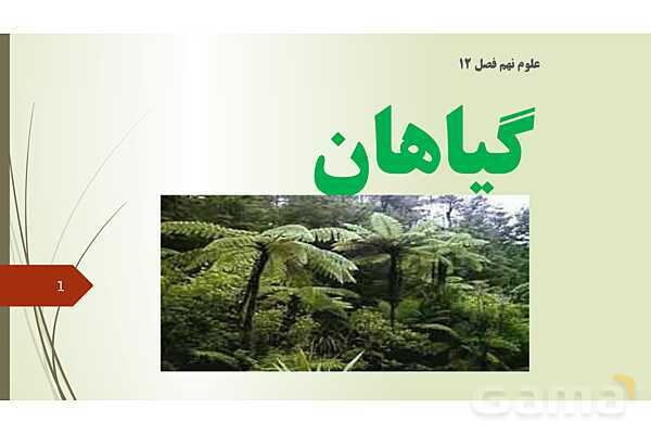 پاورپوینت فصل 12: گیاهان | تدریس علوم پایه نهم- پیش نمایش