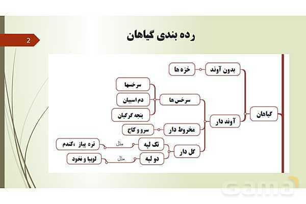 پاورپوینت فصل 12: گیاهان | تدریس علوم پایه نهم- پیش نمایش
