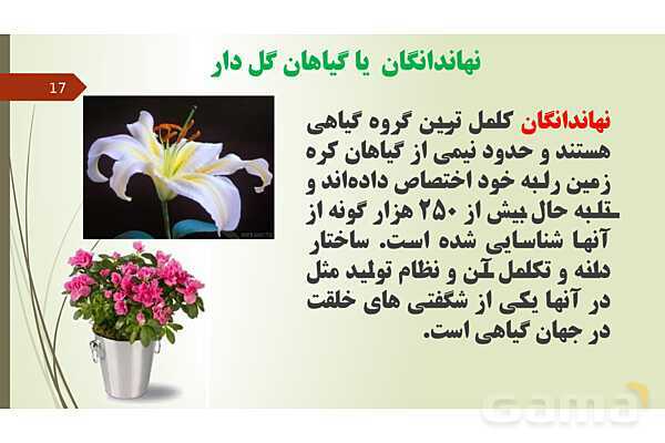 پاورپوینت فصل 12: گیاهان | تدریس علوم پایه نهم- پیش نمایش