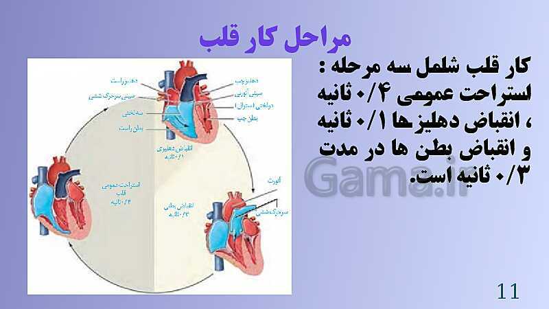 پاورپوینت کنفرانس علوم تجربی هفتم | فصل 14: گردش مواد- پیش نمایش