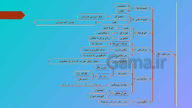 پاورپوینت کنفرانس علوم تجربی نهم | فصل 13: جانوران بی مهره- پیش نمایش