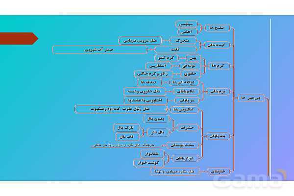پاورپوینت کنفرانس علوم تجربی نهم | فصل 13: جانوران بی مهره- پیش نمایش