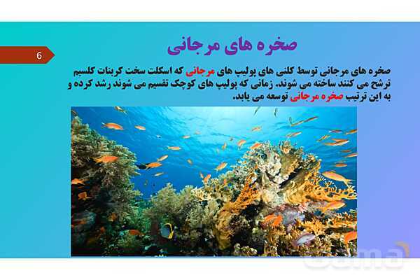 پاورپوینت کنفرانس علوم تجربی نهم | فصل 13: جانوران بی مهره- پیش نمایش