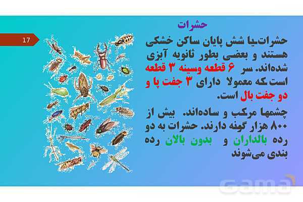 پاورپوینت کنفرانس علوم تجربی نهم | فصل 13: جانوران بی مهره- پیش نمایش