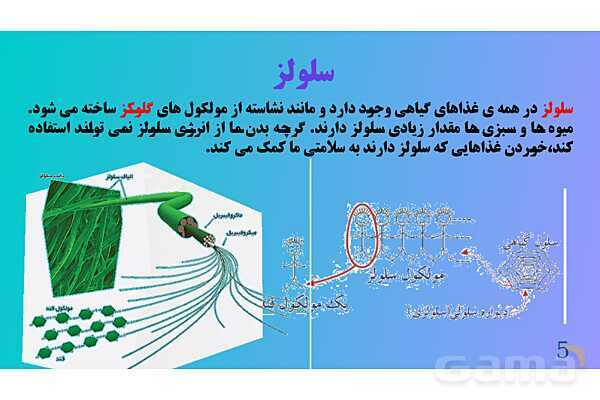 پاورپوینت کنفرانس علوم تجربی هفتم | فصل 12:سفره سلامت- پیش نمایش