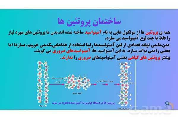 پاورپوینت کنفرانس علوم تجربی هفتم | فصل 12:سفره سلامت- پیش نمایش