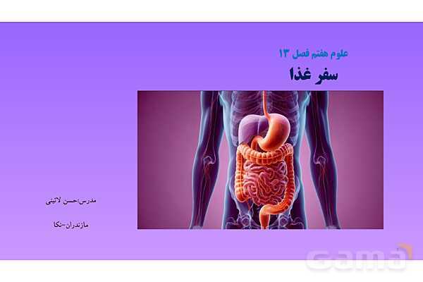 پاورپوینت کنفرانس علوم تجربی هفتم | فصل 13: سفر غذا- پیش نمایش