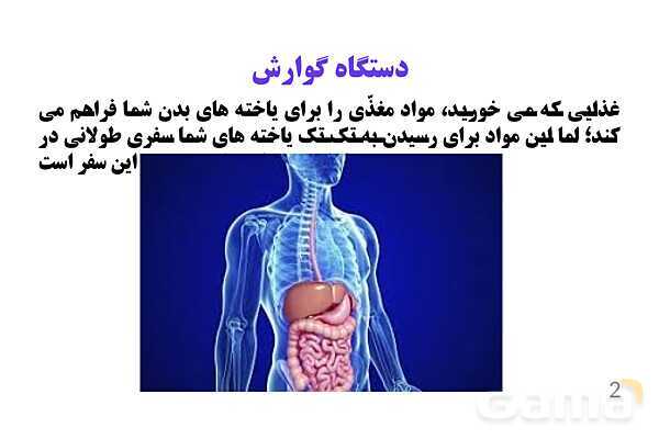 پاورپوینت کنفرانس علوم تجربی هفتم | فصل 13: سفر غذا- پیش نمایش