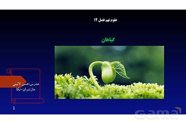 پاورپوینت کنفرانس علوم تجربی نهم | فصل 12: دنیای گیاهان - پیش نمایش
