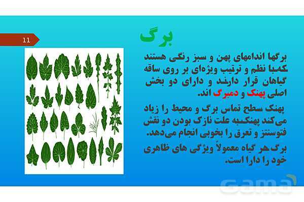 پاورپوینت کنفرانس علوم تجربی نهم | فصل 12: دنیای گیاهان - پیش نمایش