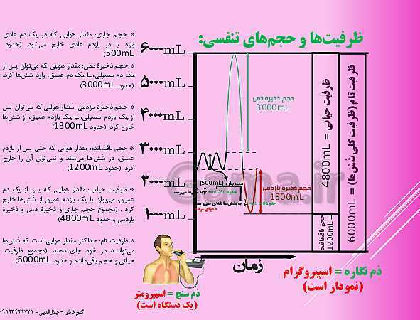 پاورپوینت گفتار 2 از فصل سوم زیست شناسی دهم | تهویۀ ششی- پیش نمایش