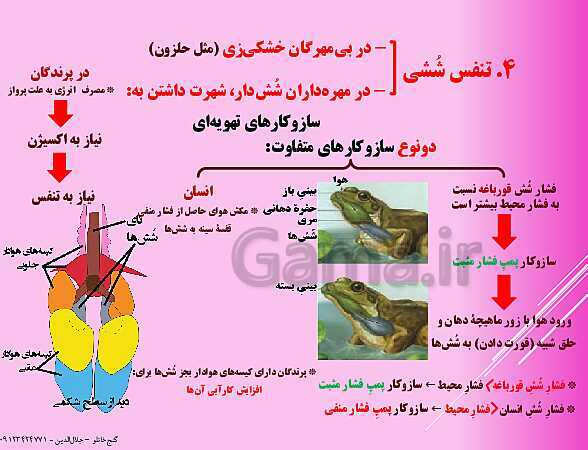 پاورپوینت  گفتار 3 از فصل سوم زیست شناسی دهم | تنوع تبادلات گازی- پیش نمایش