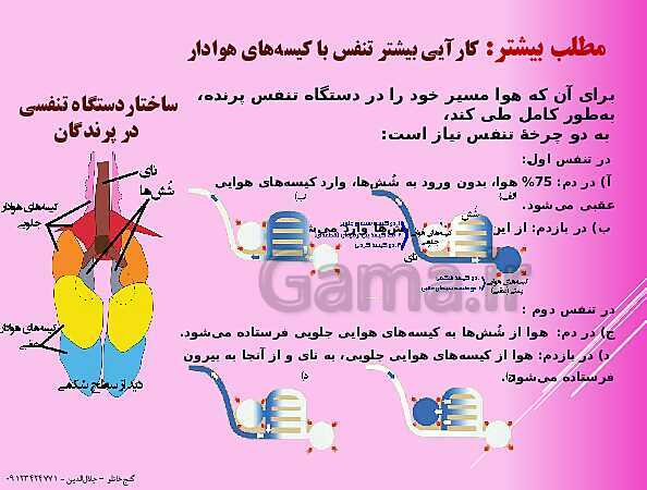 پاورپوینت  گفتار 3 از فصل سوم زیست شناسی دهم | تنوع تبادلات گازی- پیش نمایش