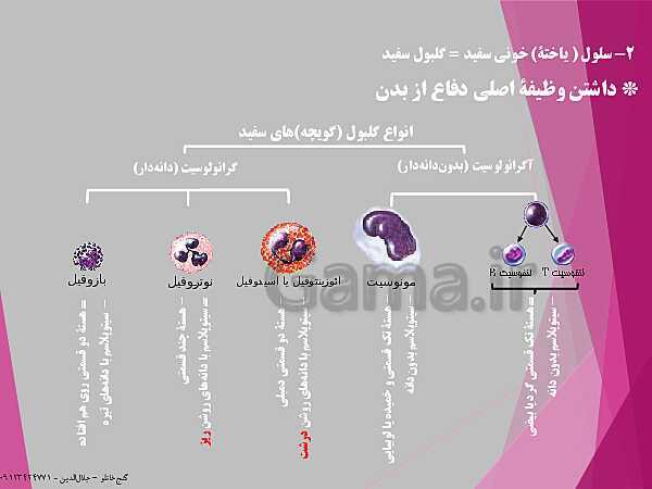 پاورپوینت گفتار 3 از فصل چهارم زیست شناسی دهم تجربی | خون- پیش نمایش