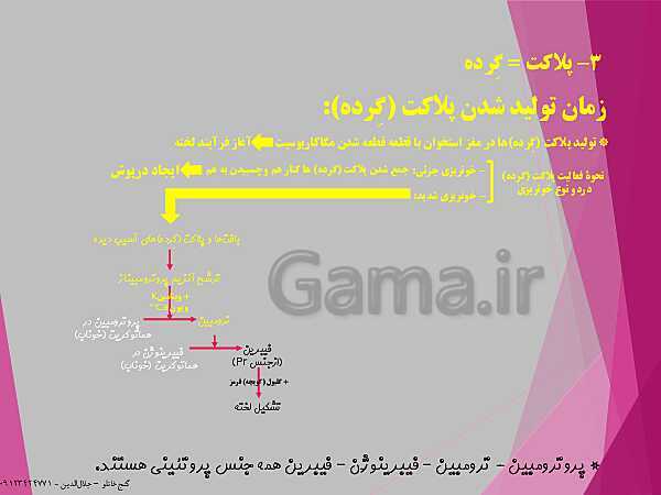 پاورپوینت گفتار 3 از فصل چهارم زیست شناسی دهم تجربی | خون- پیش نمایش