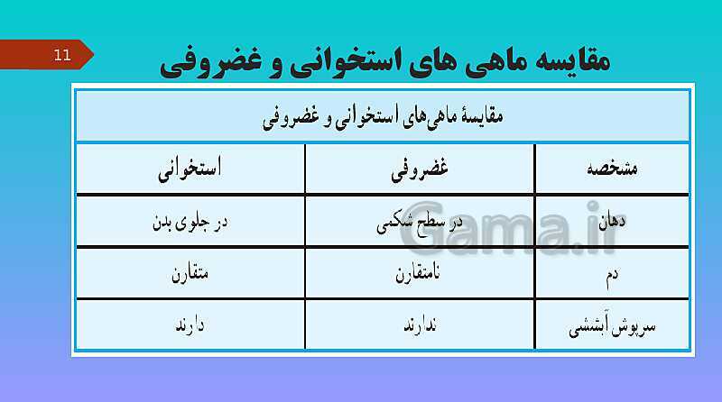 پاورپوینت کنفرانس علوم تجربی نهم | فصل 14: جانوران مهره دار - پیش نمایش