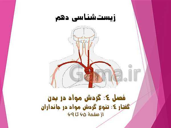 پاورپوینت گفتار 4 از فصل چهارم زیست شناسی دهم تجربی | تنوع گردش مواد در جانداران- پیش نمایش