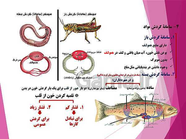 پاورپوینت گفتار 4 از فصل چهارم زیست شناسی دهم تجربی | تنوع گردش مواد در جانداران- پیش نمایش