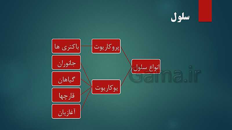 پاورپوینت کنفرانس فصل 11: یاخته و سازمان‌بندی آن | علوم هفتم- پیش نمایش