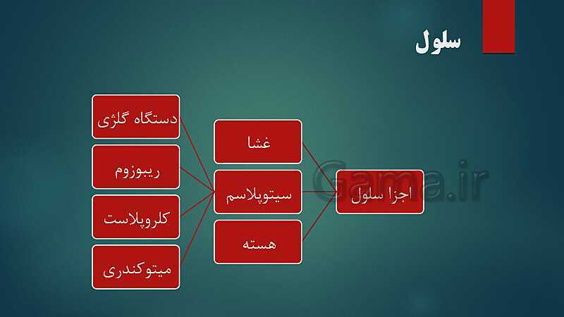 پاورپوینت کنفرانس فصل 11: یاخته و سازمان‌بندی آن | علوم هفتم- پیش نمایش