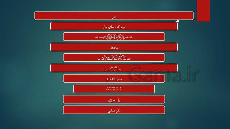 پاورپوینت کنفرانس فصل 4: سیستم عصبی- پیش نمایش