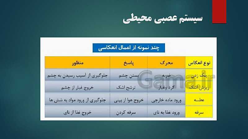 پاورپوینت کنفرانس فصل 4: سیستم عصبی- پیش نمایش