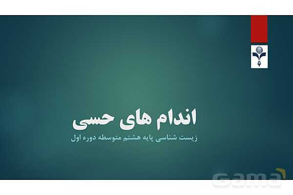 پاورپوینت کنفرانس فصل 5: اندام های حسی- پیش نمایش