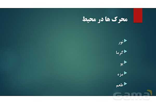 پاورپوینت کنفرانس فصل 5: اندام های حسی- پیش نمایش