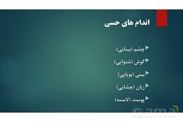 پاورپوینت کنفرانس فصل 5: اندام های حسی- پیش نمایش