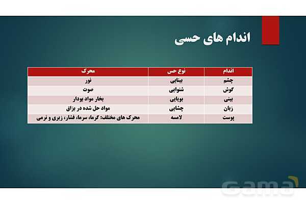 پاورپوینت کنفرانس فصل 5: اندام های حسی- پیش نمایش