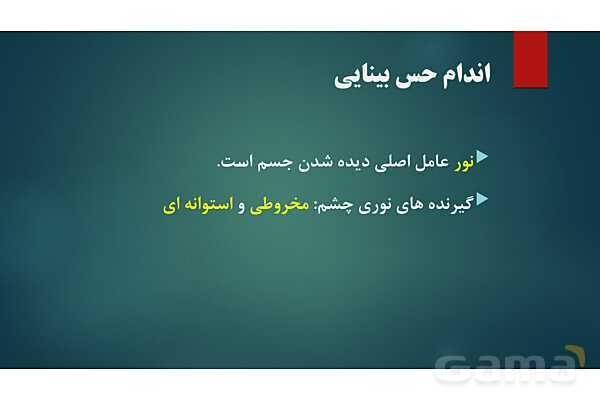 پاورپوینت کنفرانس فصل 5: اندام های حسی- پیش نمایش