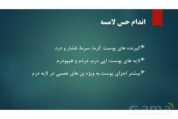 پاورپوینت کنفرانس فصل 5: اندام های حسی- پیش نمایش