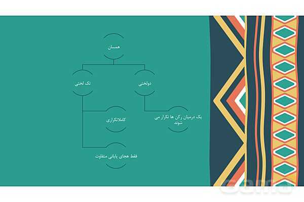 پاورپوینت آموزشی درس 11: اوزان دولختی- پیش نمایش