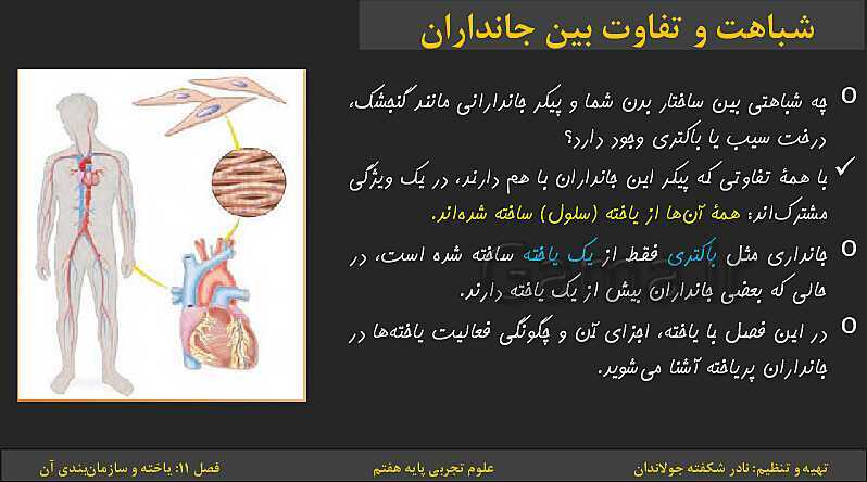 پاورپوینت تدریس فصل 11: یاخته‌ها و سازمان بندی آن | کتاب درسی علوم تجربی پایه هفتم- پیش نمایش