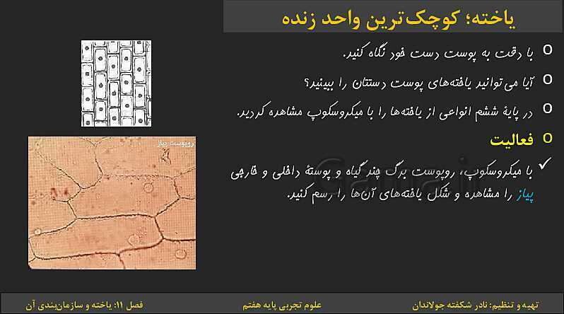 پاورپوینت تدریس فصل 11: یاخته‌ها و سازمان بندی آن | کتاب درسی علوم تجربی پایه هفتم- پیش نمایش